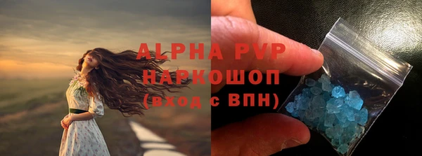 PSILOCYBIN Верхний Тагил