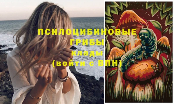 PSILOCYBIN Верхний Тагил