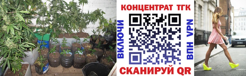 ТГК гашишное масло  наркотики  Щучье 