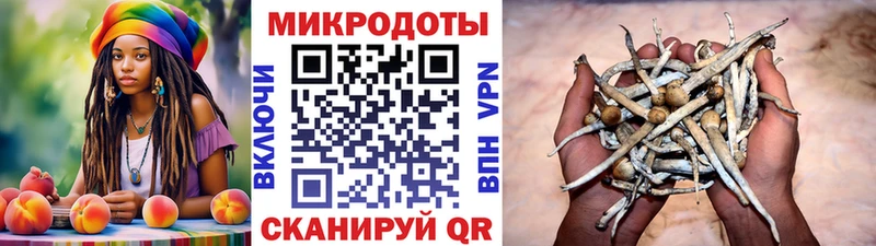 Галлюциногенные грибы прущие грибы Щучье