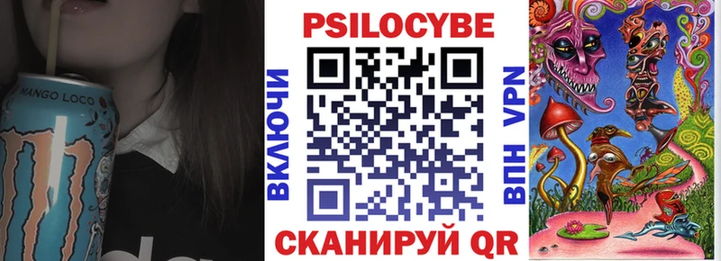 как найти Щучье Галлюциногенные грибы Psilocybe